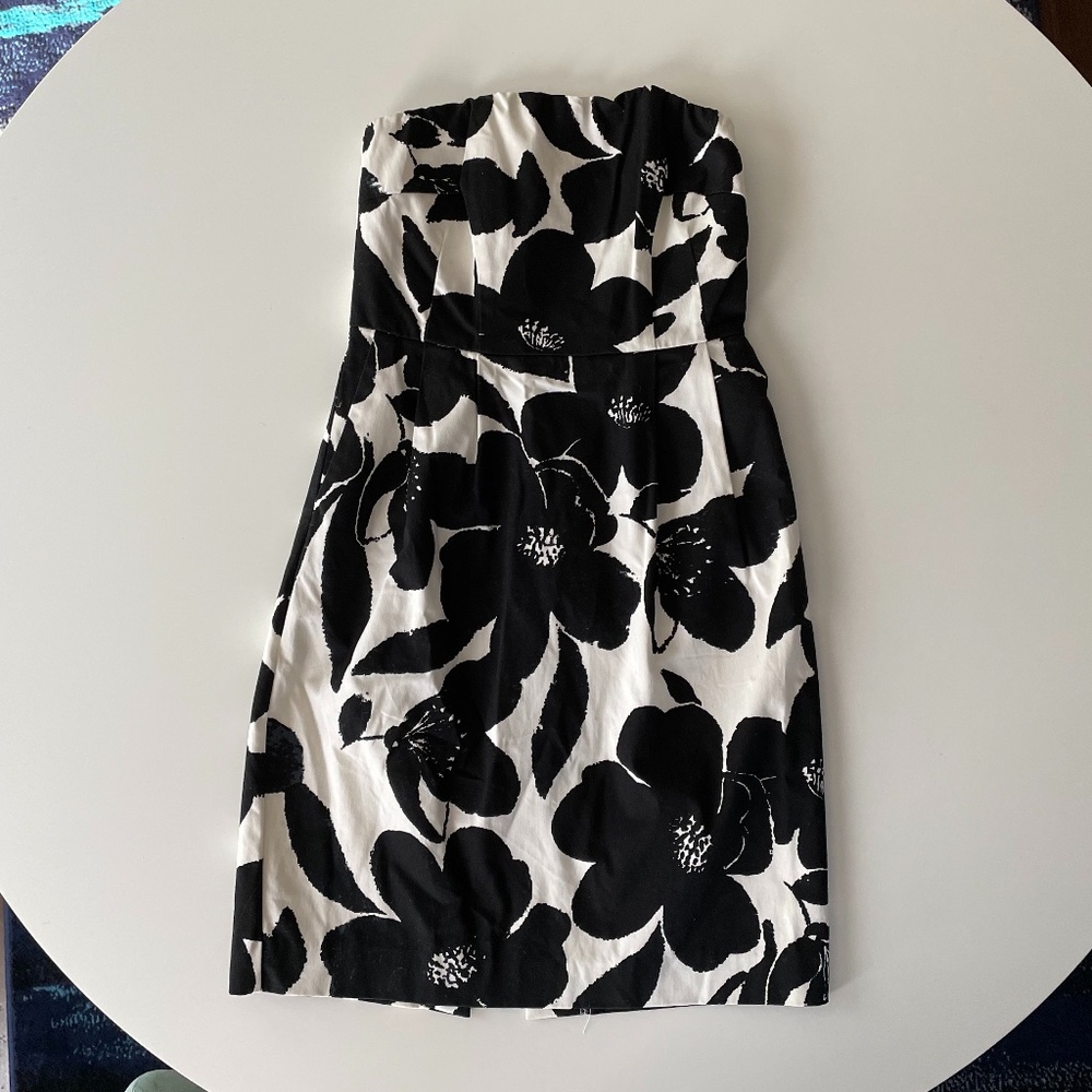 Express Cocktail Dress